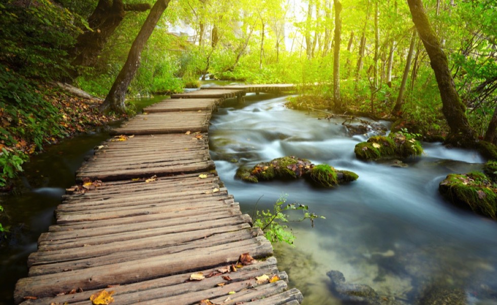 Stacks Image 1592552