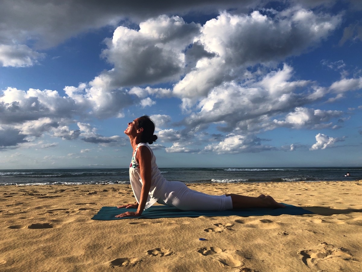 Stacks Image 1639231