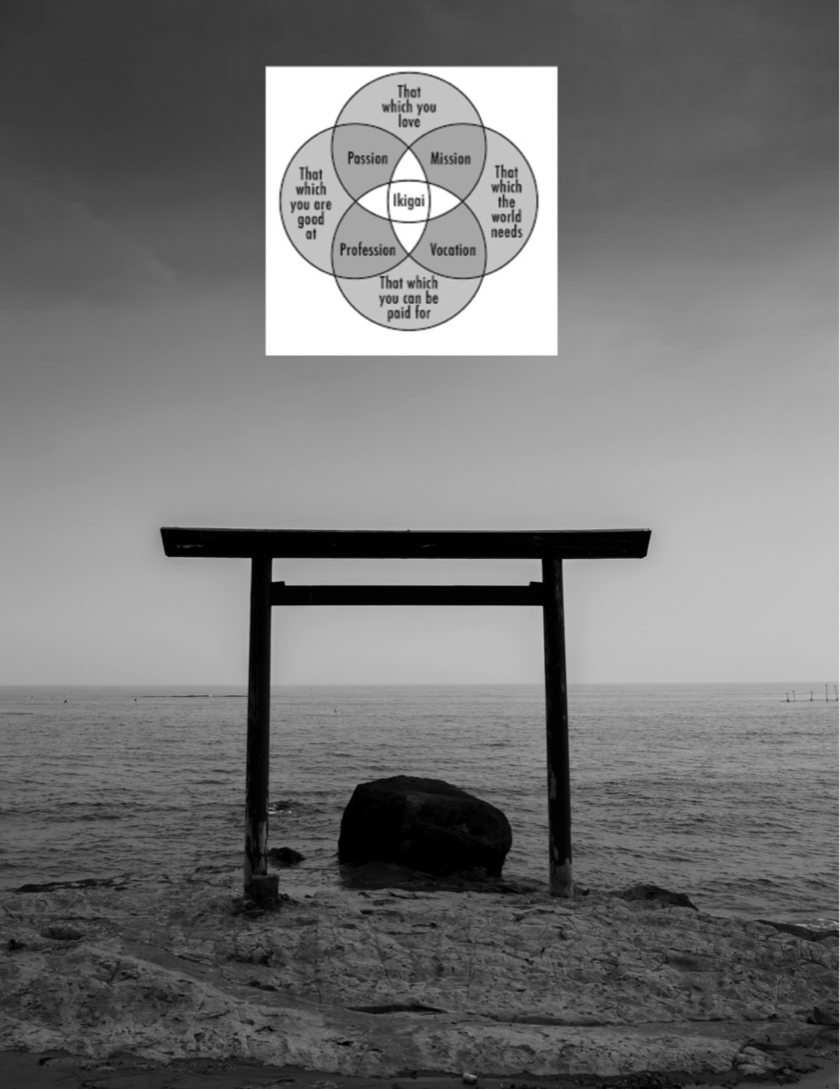 Stacks Image 1639183